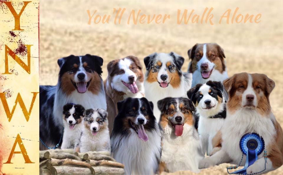 You'll never walk alone